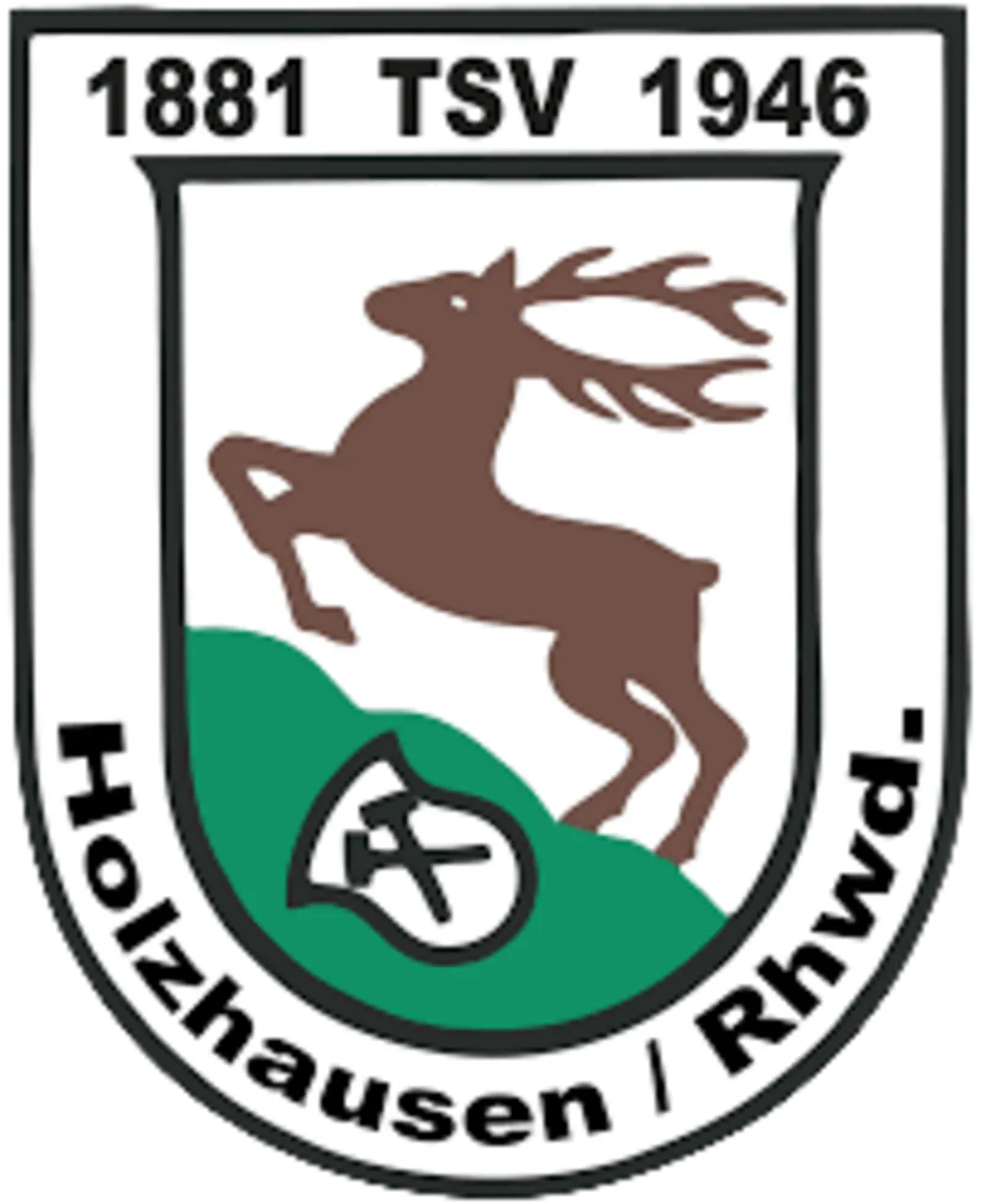 Wappen TSV Holzhausen